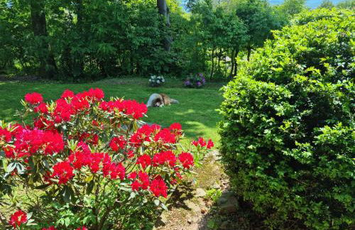 Ferienhaus Vogelsbergblick, Fernblick, Sauna, Kamin, 1700m eingezäunt in Alleinlage - Foto 77