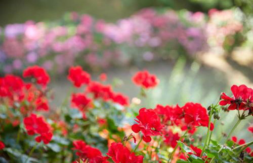 ATeRIAN LAZKANO ENEA - Foto 71