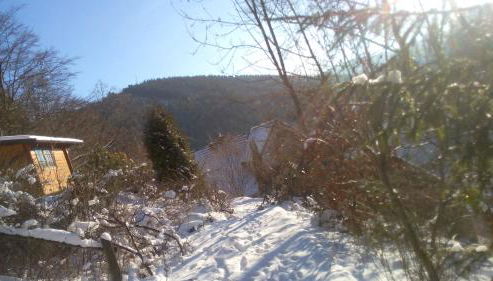 FeWo PacoHaus nähe Willingen Diemelsee - Foto 4, Garden