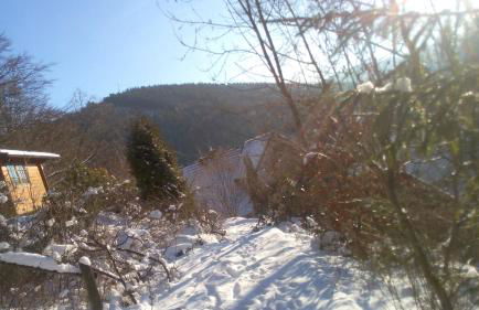 FeWo PacoHaus nähe Willingen Diemelsee - Foto 4