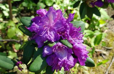 Hüttendorf für Euch alleine - geführter Yachtausflug nach Prieros inclusive! Nur 3 Minuten zum Badesee Fahrräder kostenlos vorhanden - Foto 25