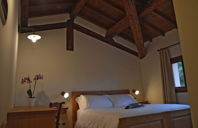 Fattoria Lucciano - Foto 10