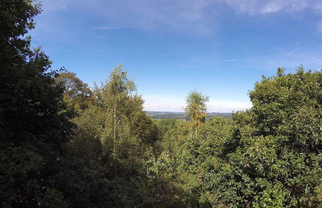 Durbuy Forest Villa With Pool - Foto 40