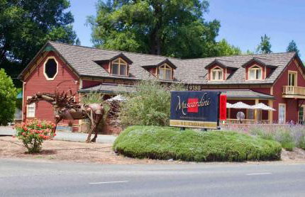 Hilltop Haven - Scenic Getaway Near Top Wineries - Foto 28