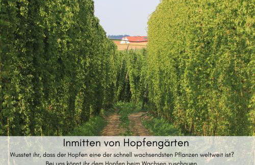 Holledau-Apartments - Auszeit im schönen Hopfenland in Bayern - voll ausgestattete Apartments - Garten - Balkon - Nähe München - Foto 44