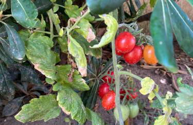 Didi Home Isola Sicilia Villetta fronte spiaggia - Foto 62