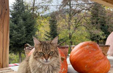 Capris Rustic Ηouse with Mountain View - Foto 6