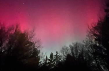 SAORSA CABIN - Foto 35