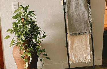 Casa Lajeiro - Foto 10