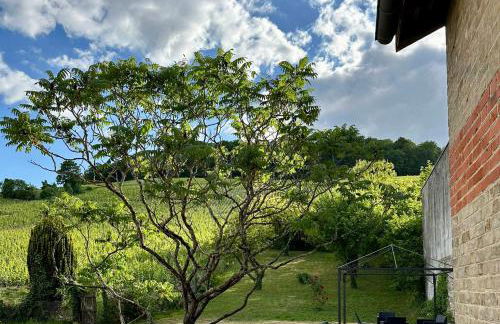 L'Écrin des Arts - appartement avec jardin au coeur de la Côte des Blancs - Foto 14