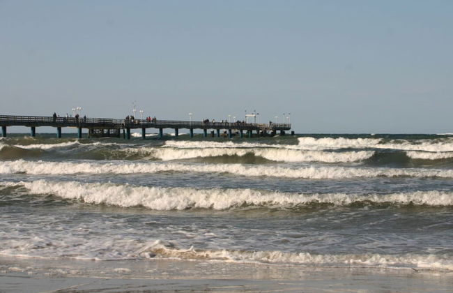 Seeschwalbe in Villa Sirene, Binz - Photo 16