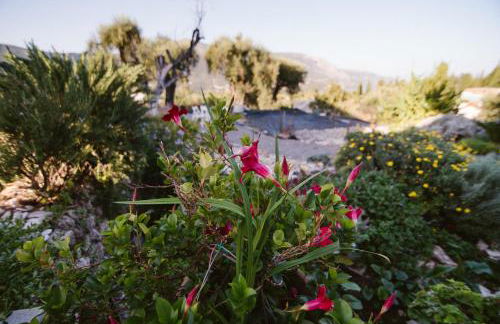 Dimoulias House - Foto 35