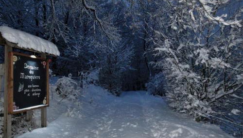 Domaine des Marequiers le Gite Aigremoine - Foto 4