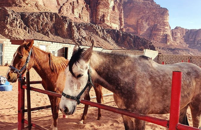 Wadi Rum Wanderlust Camp - Photo 18
