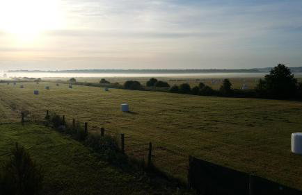 Magico Posto - Foto 34