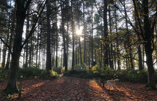 Myrtleberry Studio BnB - Foto 40