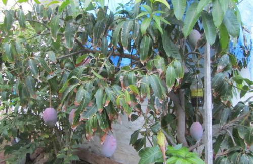 Villa Amalia Suites Malaga - Photo 66