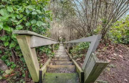 Serenity Pines by Avantstay Incredible Views - Foto 60