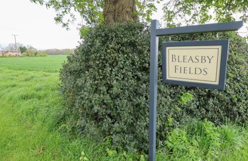 Little Owl - Foto 34