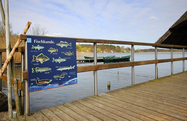 Ferienwohnung am Krakower See, Krakow am See - Photo 12