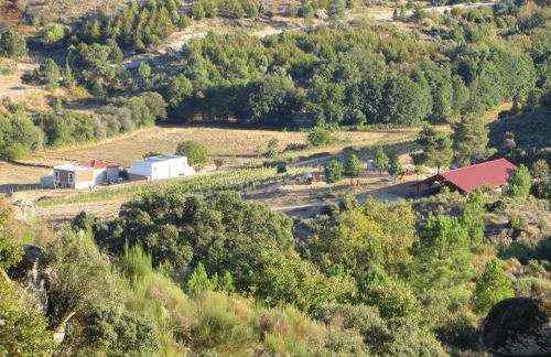 Quinta Vale da Prata - Foto 27