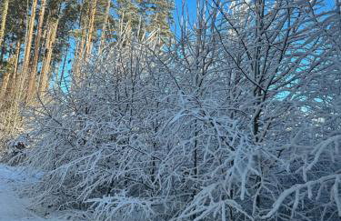 Domki pod Aniołem - Foto 26