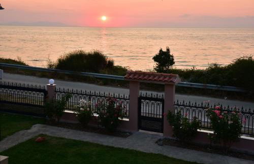 Salt and petals - Foto 58