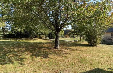 La Petite Maison - No 4 La Relierie - Foto 39