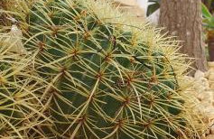 Casa el Montcel, a unique chalet with roofterrace and shared pool - Foto 29