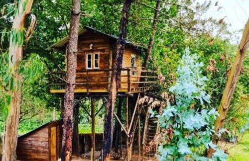 Vale da Silva Villas - Quinta - Foto 32