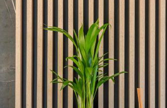 Beach Brothers House Domki nad jeziorem Nyskim - Foto 15