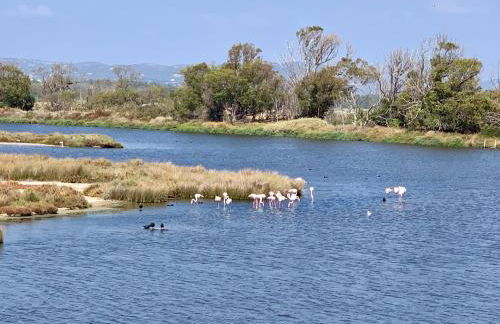 CASA DO PROFESSOR - Foto 38