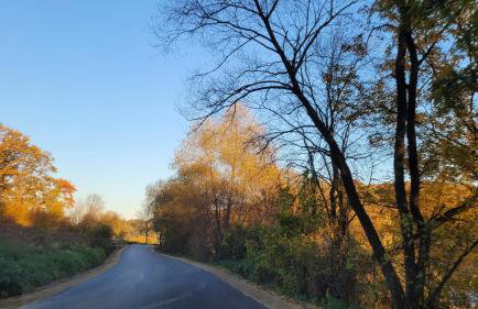 Cichosan domek w dolinie Sanu - Foto 38