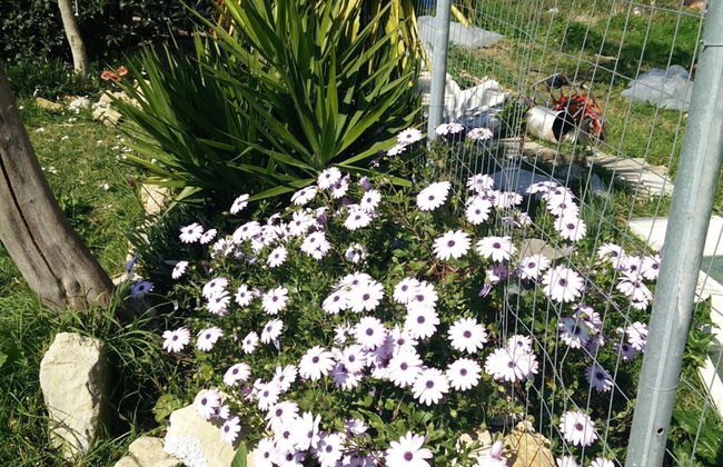 Villa Lou Corfu - Kalivioti Beach - Foto 26