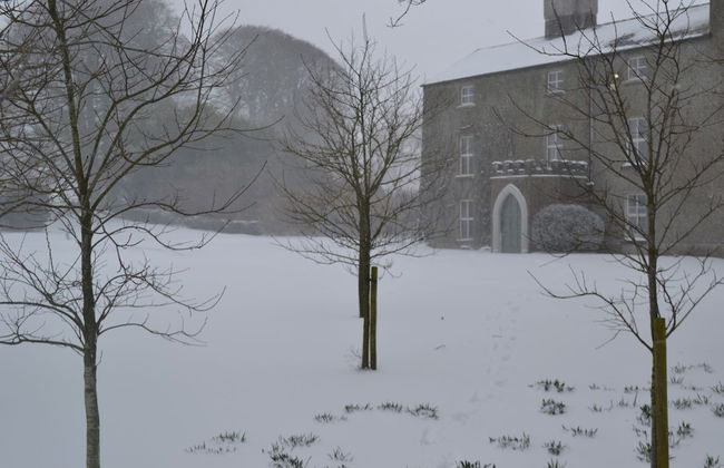 Skryne Castle Built in 1142 - Photo 39