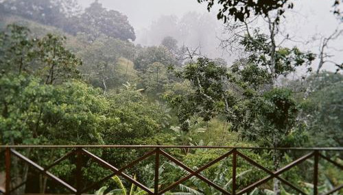 Sítio João de Barro - Foto 3