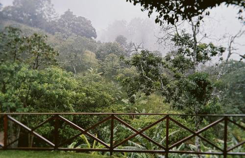 Sítio João de Barro - Foto 3