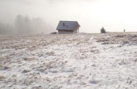 Orle Gniazdo - Foto 52