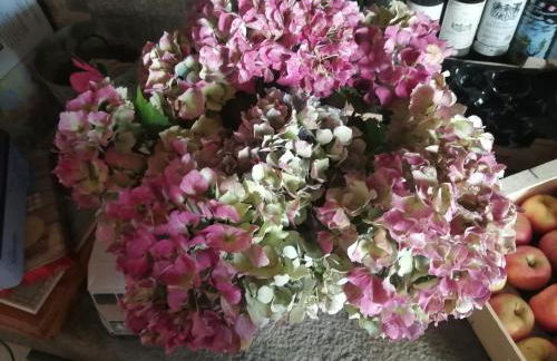 Gîte Hydrangea - Foto 6