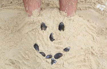 Vila Vistazul - Foto 34