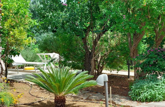 Buena Vista - Country Villa - Foto 12