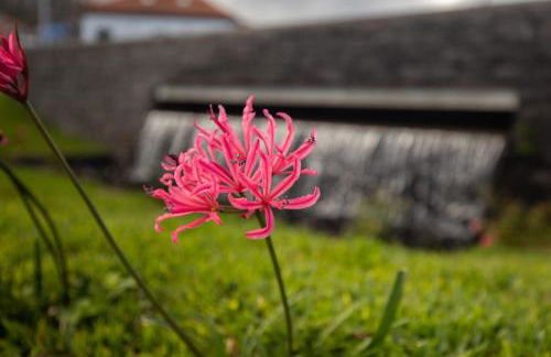 Casa Serafina by Rent-a-key - Foto 22