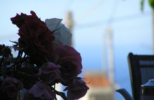 Villa Olga - Foto 37