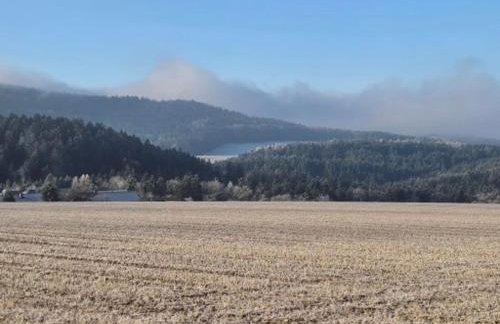 Apartmentanlage am Kellerberg - Photo 44