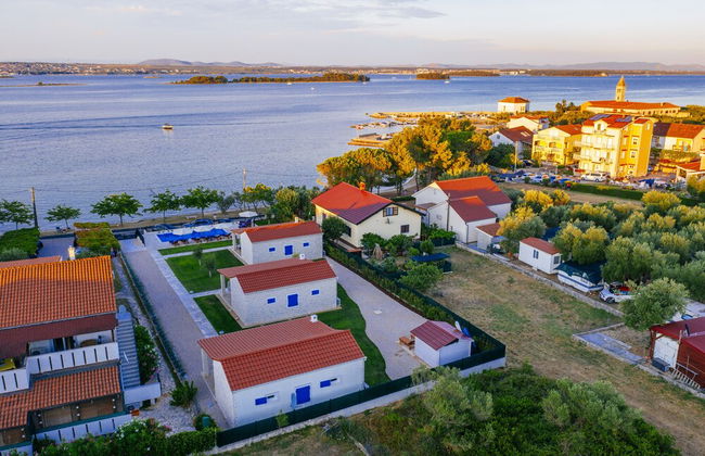 Dalmatian Pearls - Photo 56