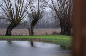 Daczowisko - Foto 12