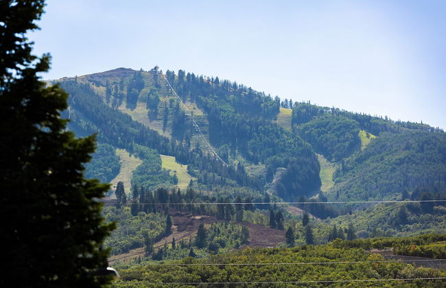 Lake View Ski Chalet - Photo 26