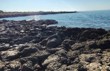 Da Pina sud - Foto 60