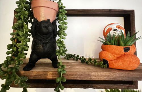 Jungle In The City ,Corfu - Kanoni - Foto 19