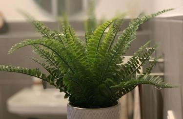 Ferienwohnung Schöne Aussicht in Simmertal - Foto 16